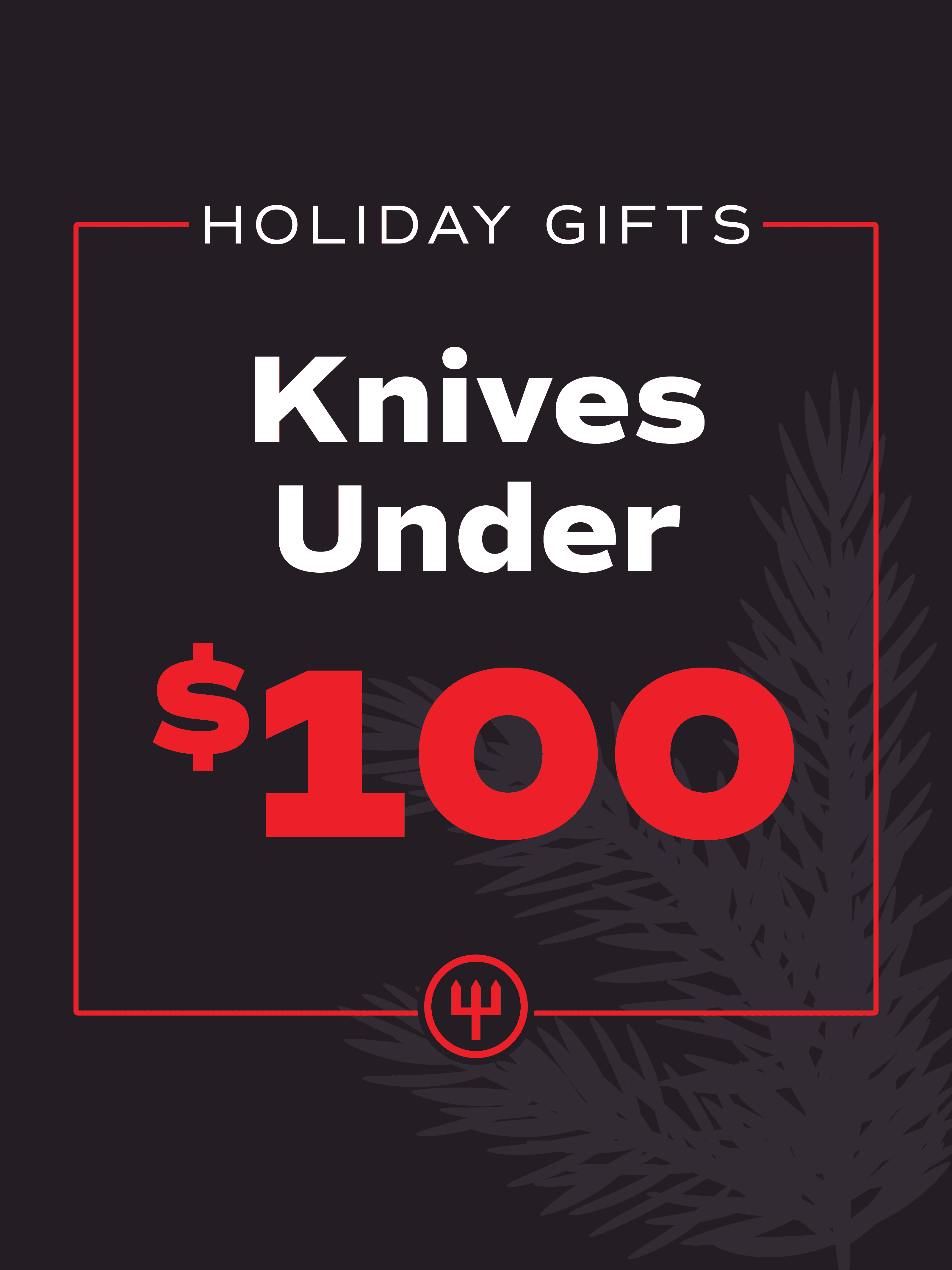 Knives Under $100