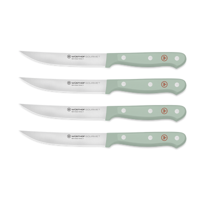 Gourmet 4-Piece Steak Knife Set with sharp forged German steel blades and seafoam green triple-riveted ergonomic handles for comfortable cutting.