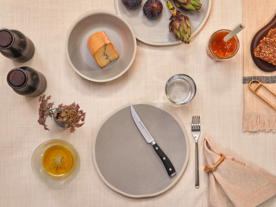 Classic Ikon 4-Piece Steak Knife Set