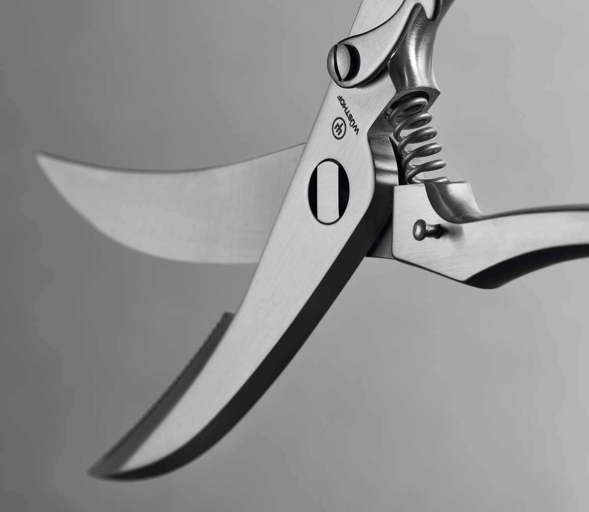 9" Stainless Steel Poultry Shears