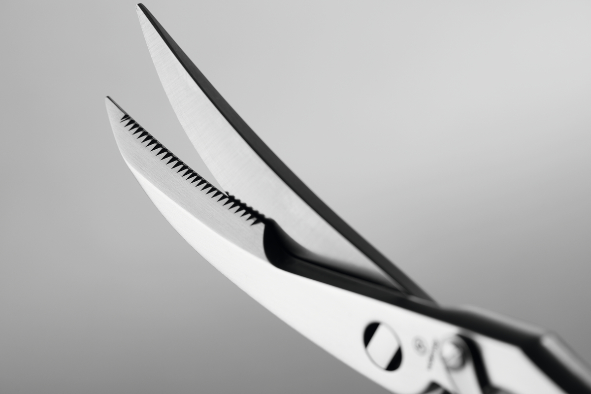 9" Stainless Steel Poultry Shears