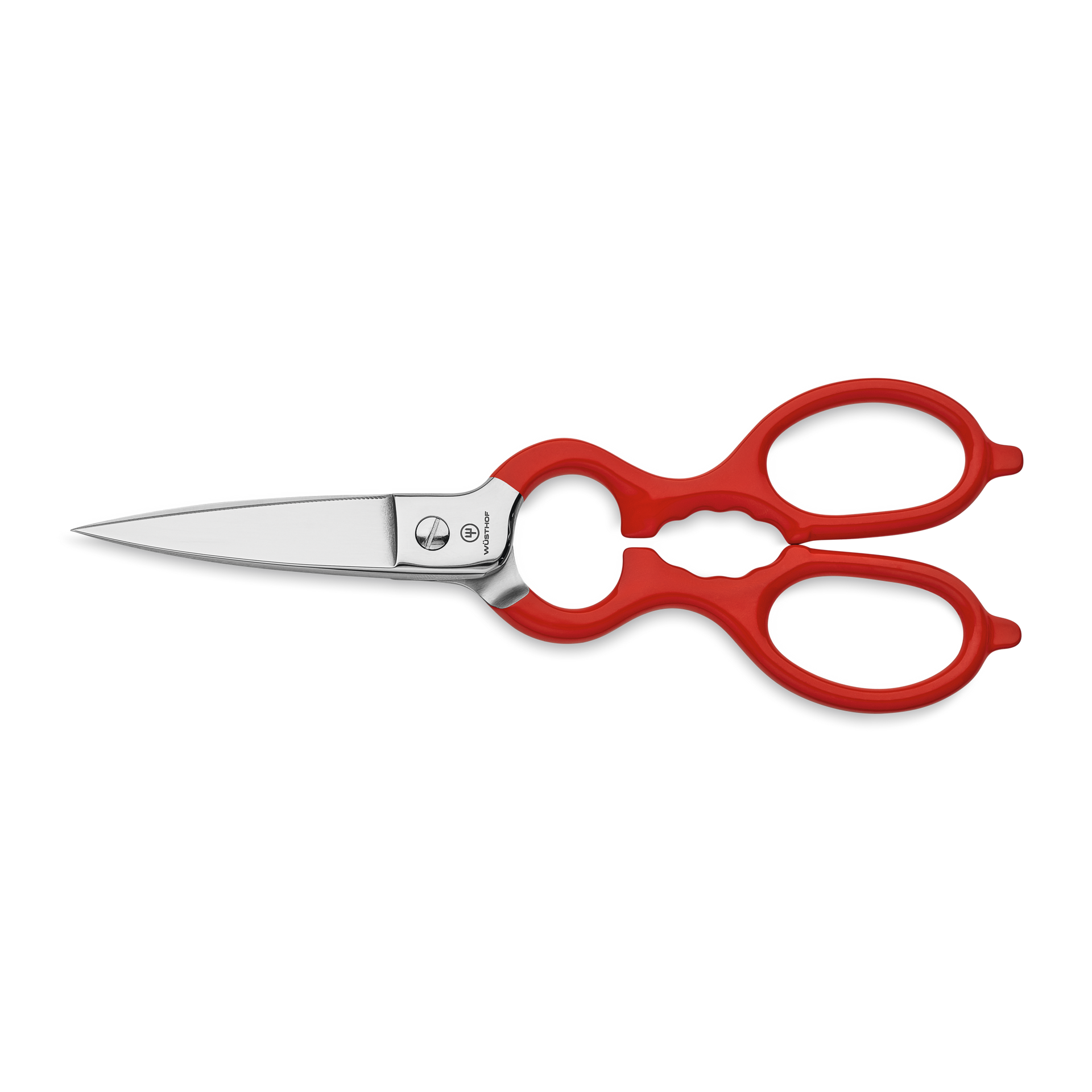 Stainless Kitchen Shears with Synthetic Grips