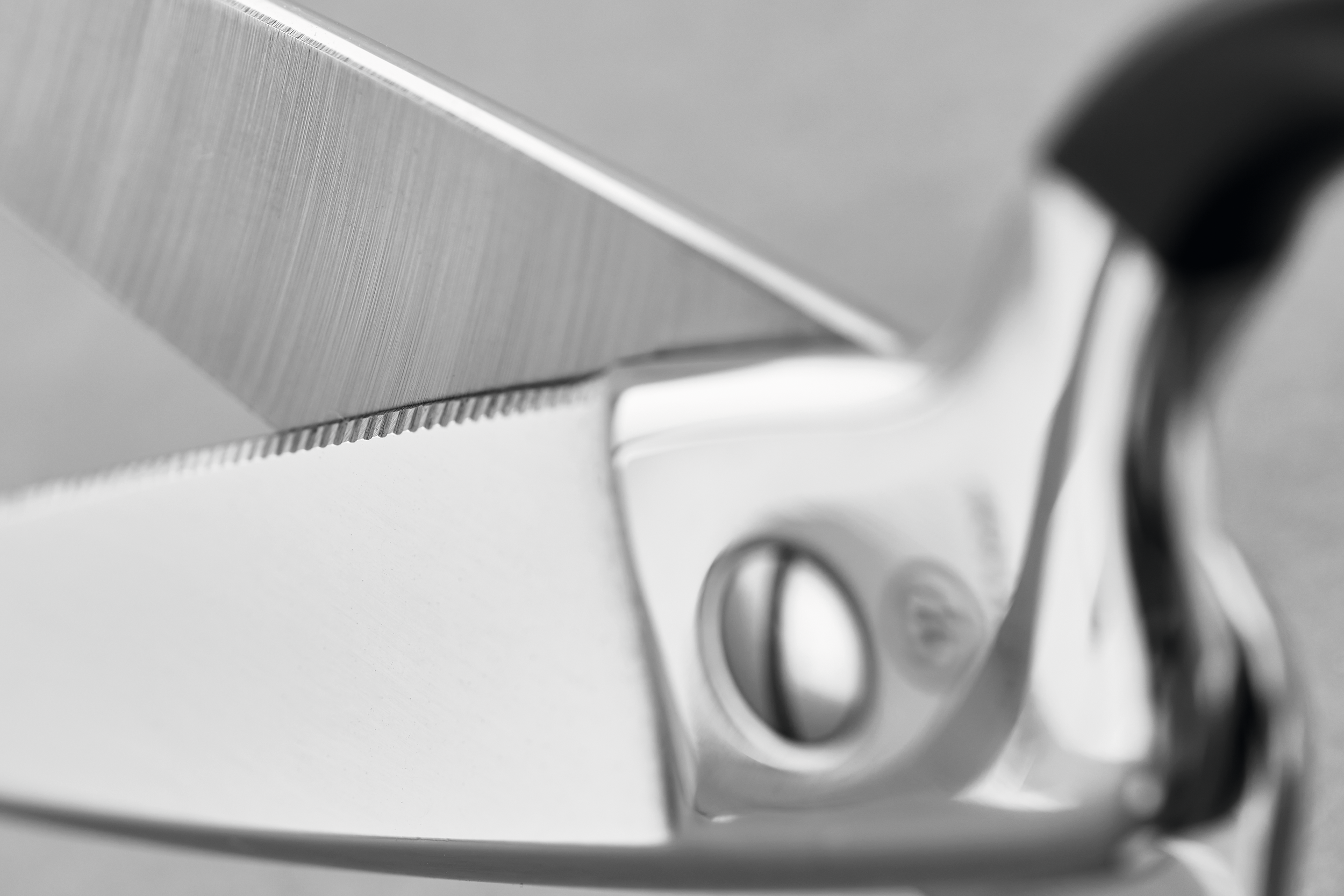 Stainless Kitchen Shears with Synthetic Grips - Thumbnail 4